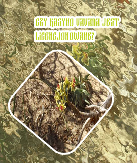Jakie sa najlepsze gry kasyno co daja free spiny